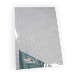 Popierius rašomasis A3 100l.languotas