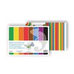 Kartonas spalvotas A4,8 lap.rinkinys