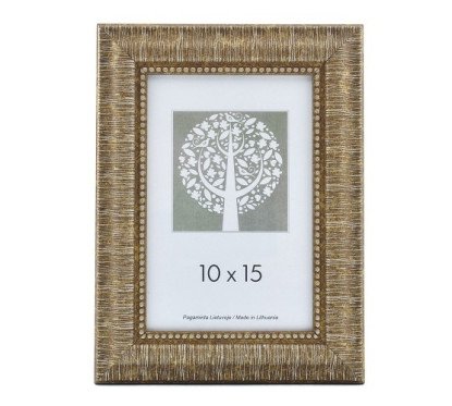 Rėmelis 10 x15cm auksinės sp.