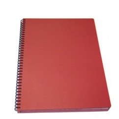 Sąsiuvinis 96 l. su skirtukais