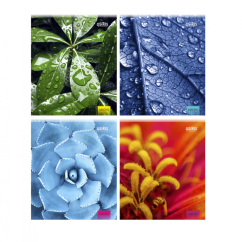 Sąsiuvinis A5/96, lang. minkšt. virš. įv. Sp.