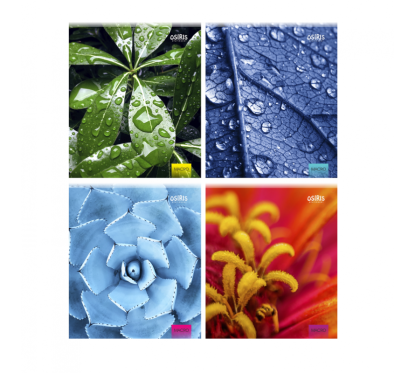 Sąsiuvinis A5/96, lang. minkšt. virš. įv. Sp.