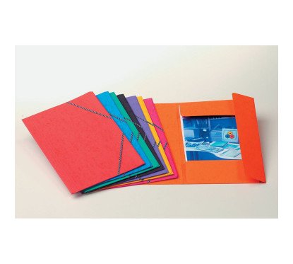 Aplankas kartoninis su gumelėmis