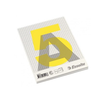 Bloknotas Esselte 100l