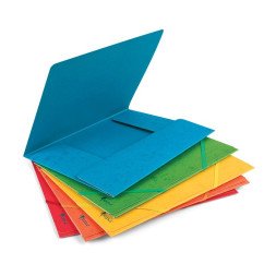 Aplankas kartoninis su gumelėmis