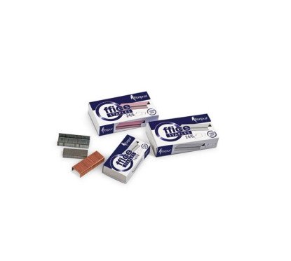 Sąsagėlės Nr.24/6 Forpus