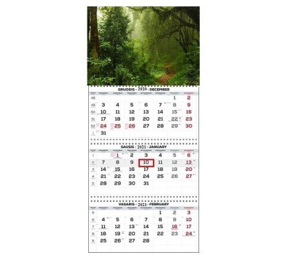 3 dalių pakabinamas kalendorius Trio