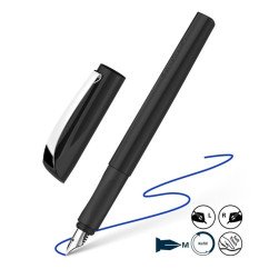 Plunksnakotis Ceod Classic, Iridium nib