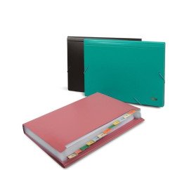 Dėklas armonikos tipo