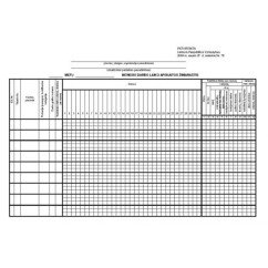 Darbo laiko apskaitos žiniaraštis A3