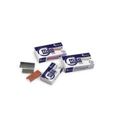 Sąsagėlės Nr.24/6 Forpus