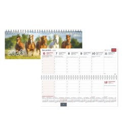 Kalendorius stalinis MEMO CARD