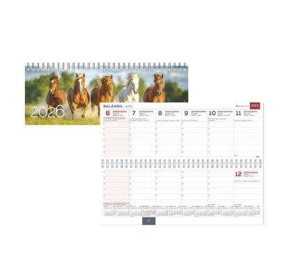 Kalendorius stalinis MEMO CARD