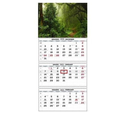 3 dalių pakabinamas kalendorius Trio