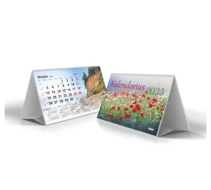 Pastatomas stalo kalendorius 210x140