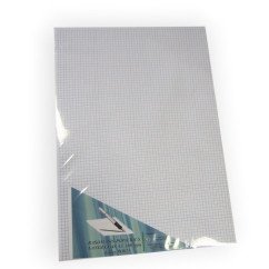 Popierius rašomasis A3 100l.languotas