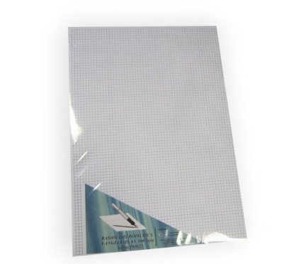 Popierius rašomasis A3 100l.languotas