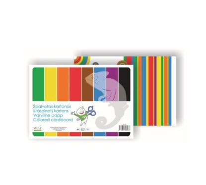 Kartonas spalvotas A4,8 lap.rinkinys