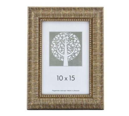 Rėmelis 10 x15cm auksinės sp.
