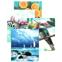 Sąsiuvinis A5 48 lap.,linija