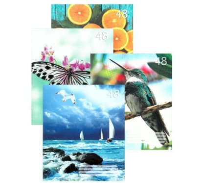 Sąsiuvinis A5 48 lap.,linija