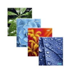 Sąsiuvinis A5/96, lang. minkšt. virš. įv. Sp.