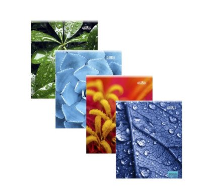 Sąsiuvinis A5/96, lang. minkšt. virš. įv. Sp.