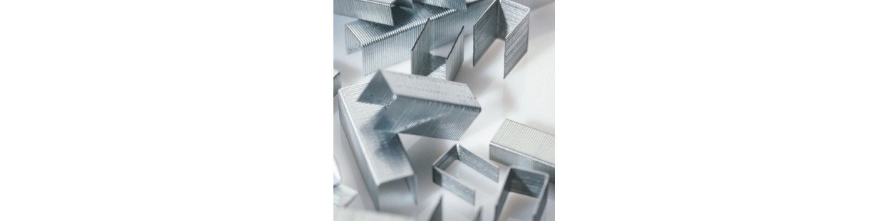 Sąsagėlės ir išsegikliai