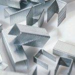 Sąsagėlės ir išsegikliai