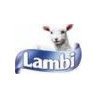 Lambi