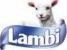 Lambi